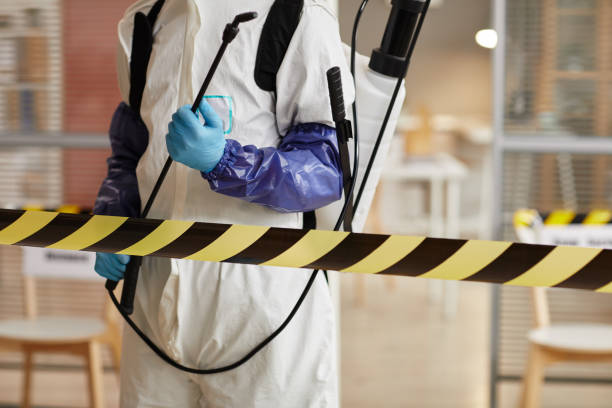 Professional Sewage Cleanup technician working in Ashland, IL