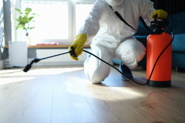 Reliable Sewage Cleanup contractor in Ashland, IL by Crime Scene Cleaner Online